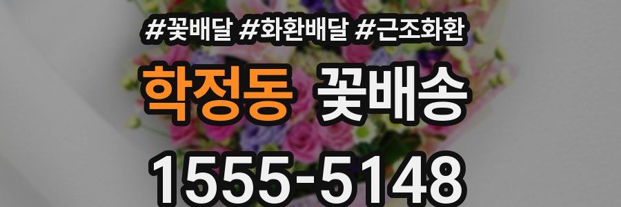 학정동 꽃배송