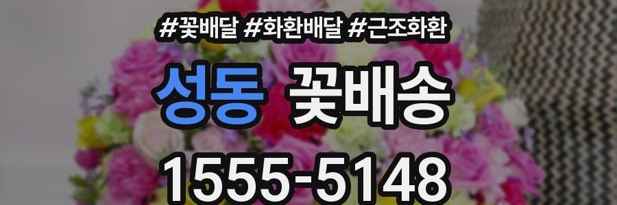 성동 꽃배송