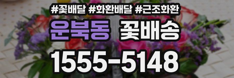 운북동 꽃배송
