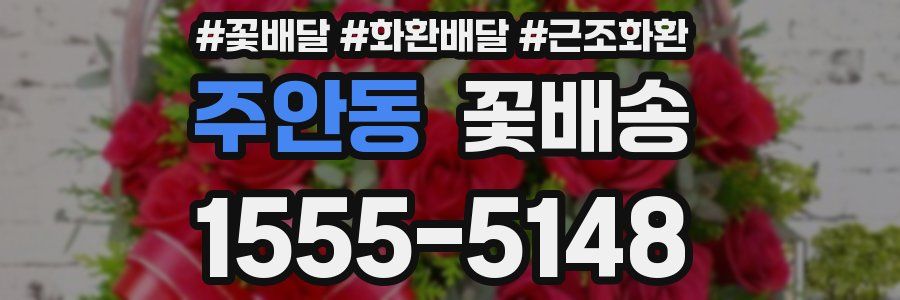 주안동 꽃배송