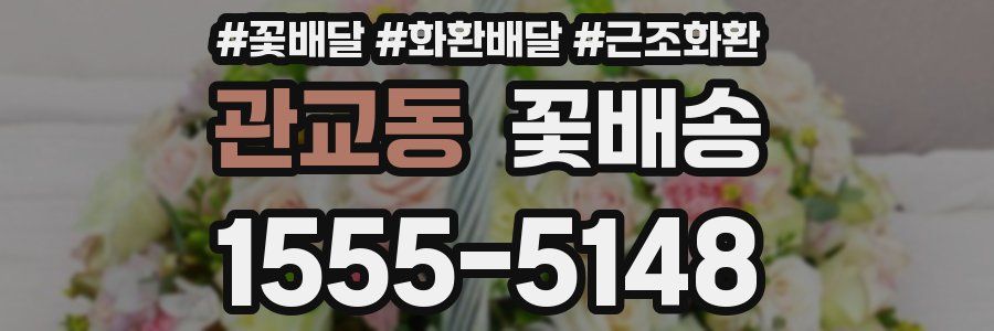 관교동 꽃배송