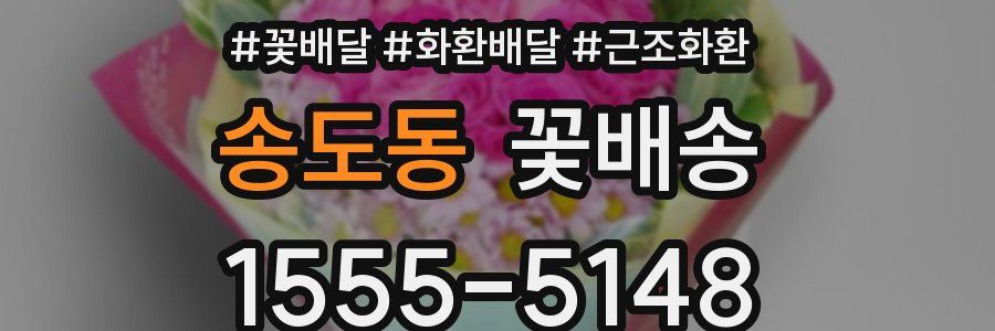 송도동 꽃배송