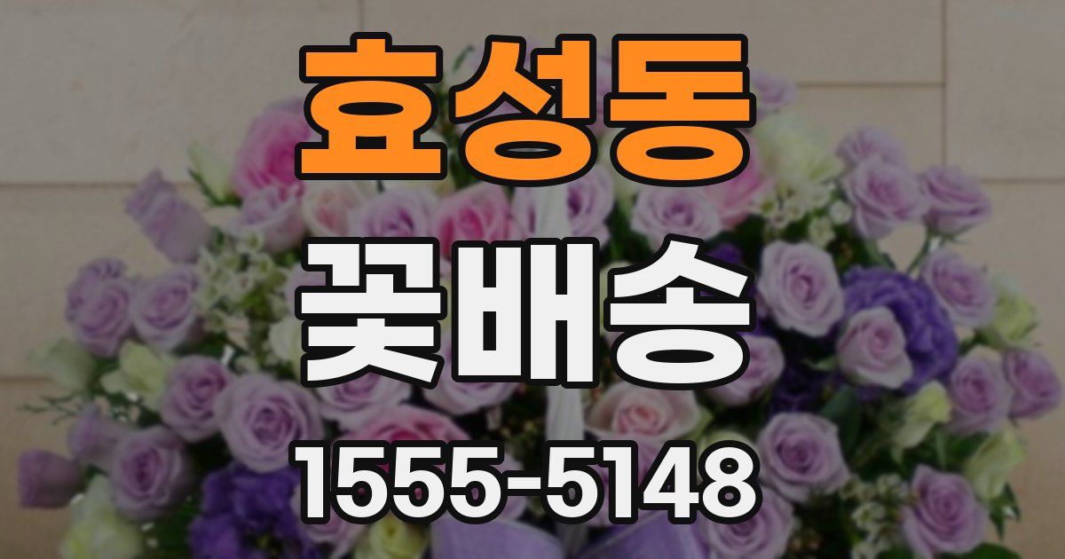 효성동 꽃배송