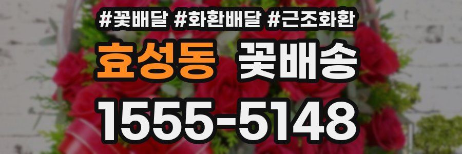 효성동 꽃배송