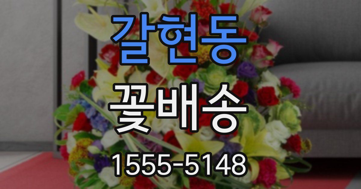 갈현동 꽃배송