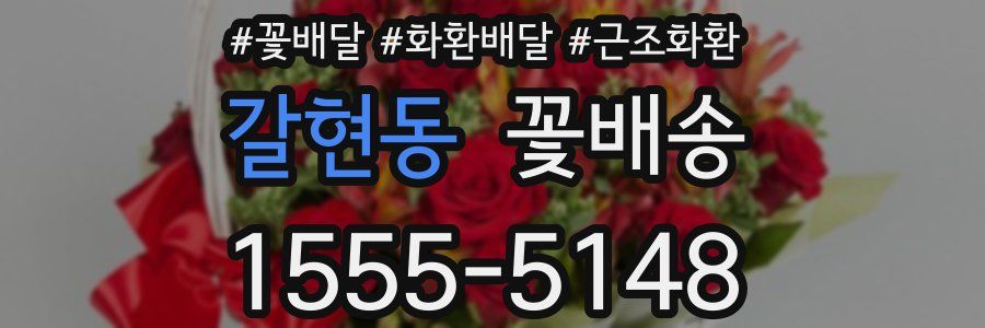 갈현동 꽃배송