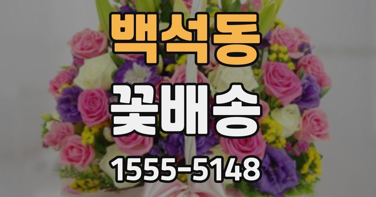 백석동 꽃배송