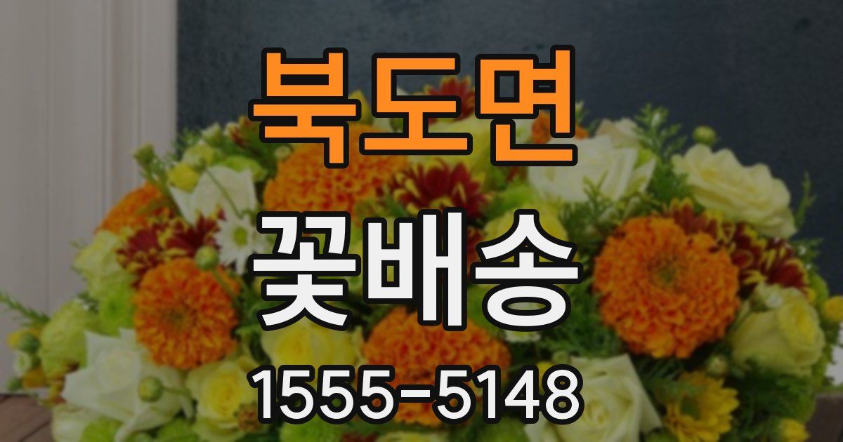 북도면 꽃배송