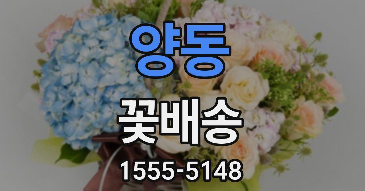 양동 꽃배송