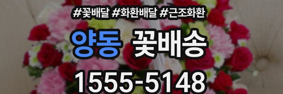 양동 꽃배송