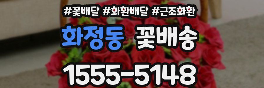화정동 꽃배송