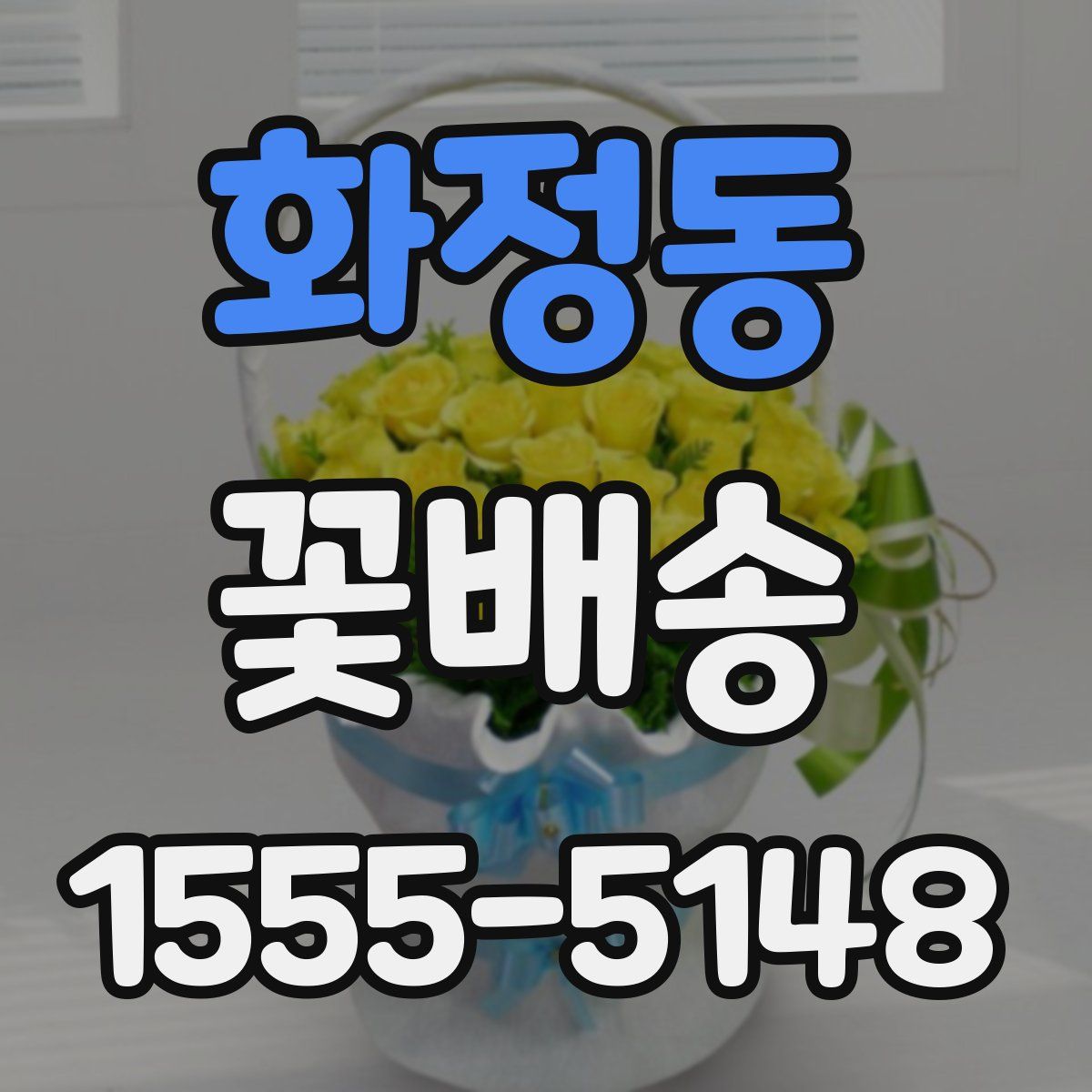 화정동 꽃배송