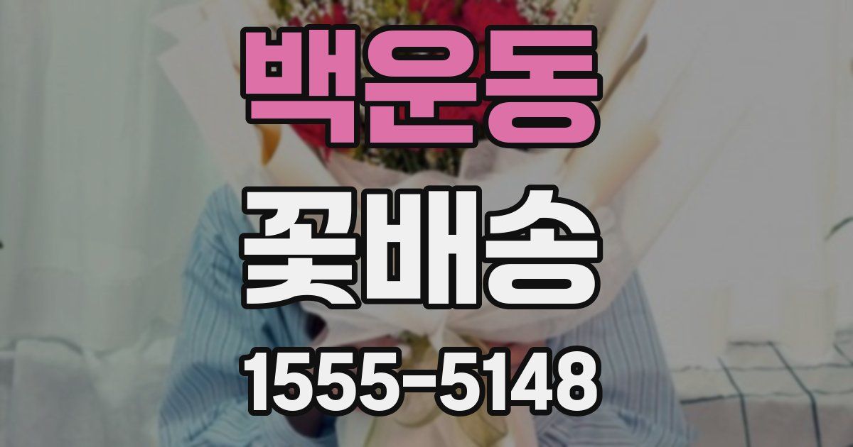 백운동 꽃배송