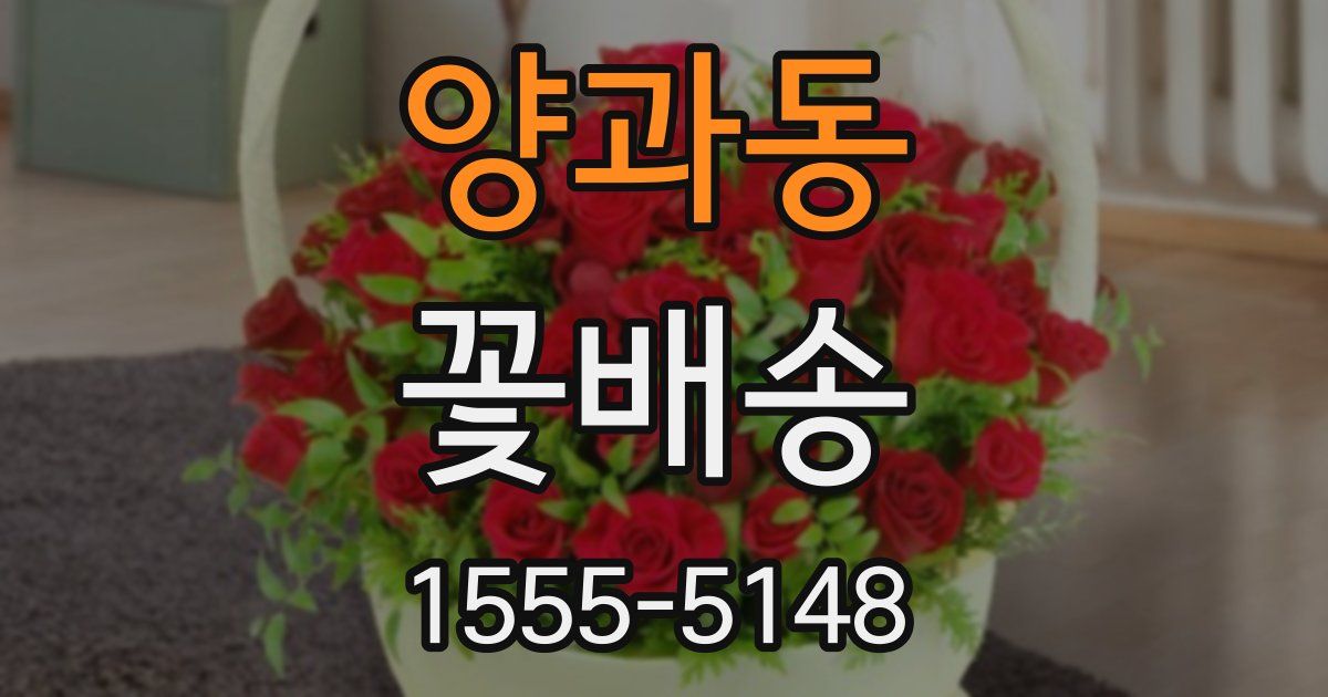 양과동 꽃배송