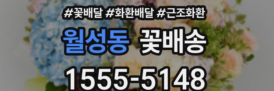 월성동 꽃배송