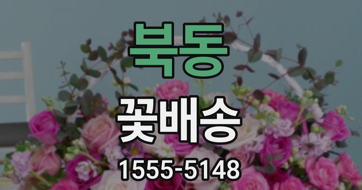 북동 꽃배송