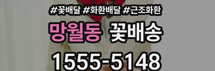 망월동 꽃배송