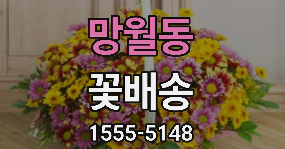 망월동 꽃배송