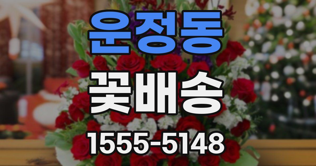 운정동 꽃배송