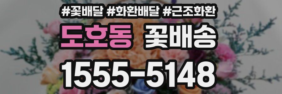 도호동 꽃배송