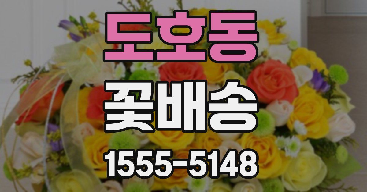 도호동 꽃배송