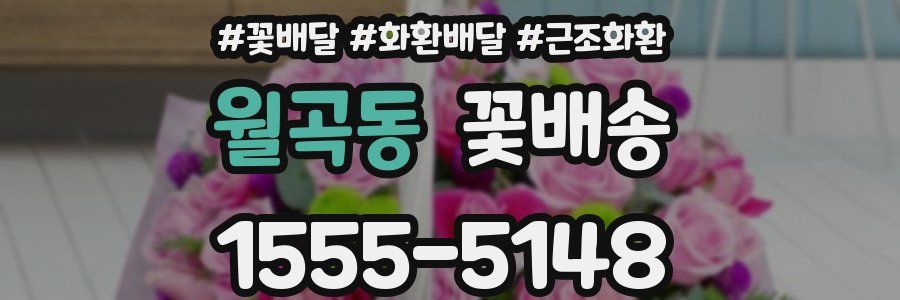 월곡동 꽃배송