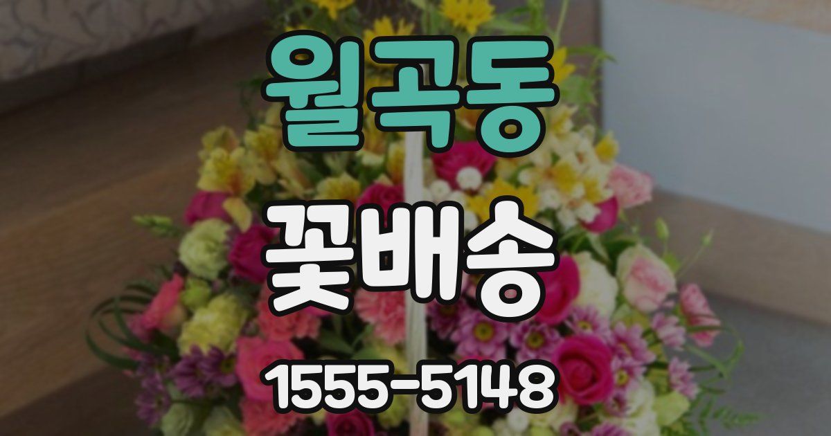 월곡동 꽃배송