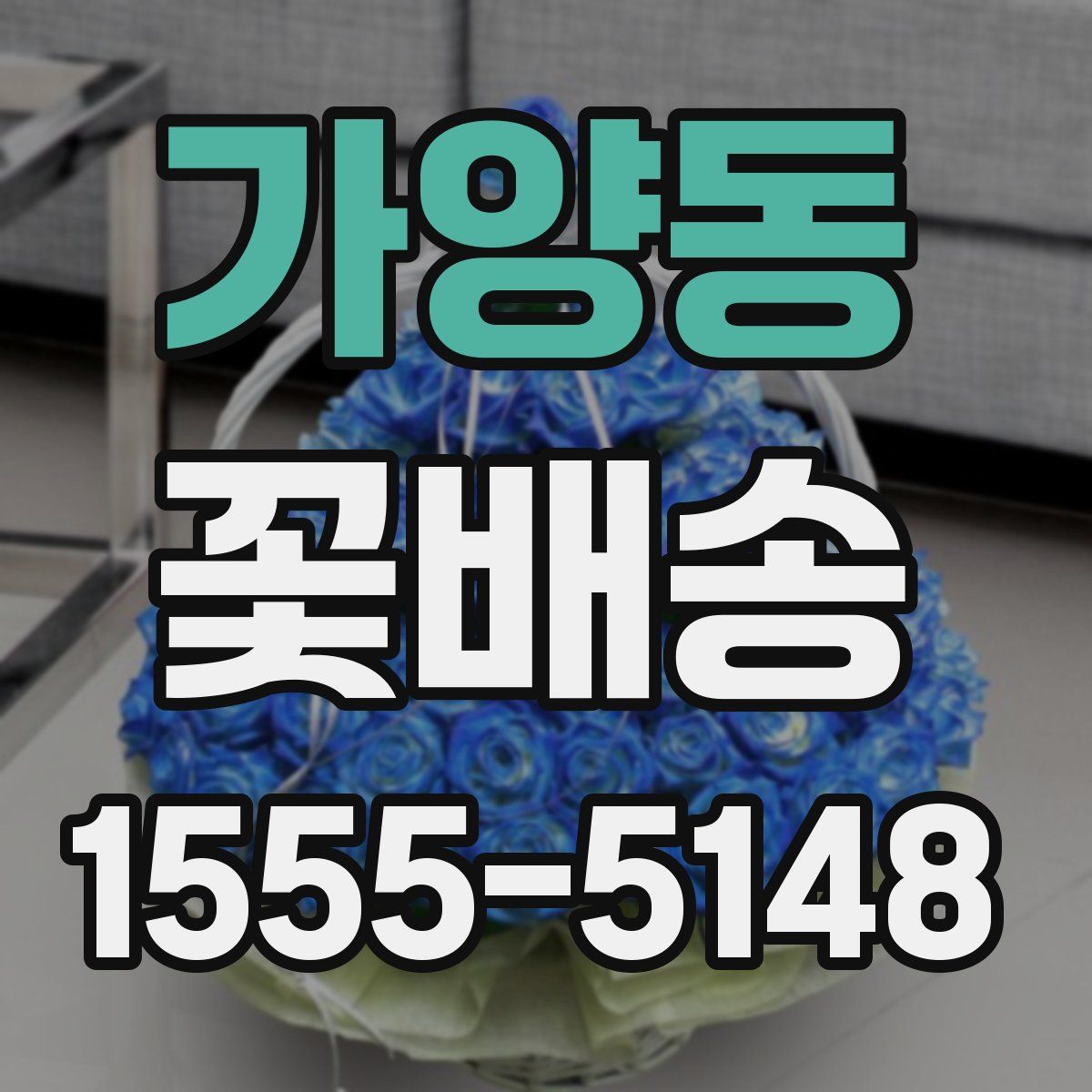가양동 꽃배송