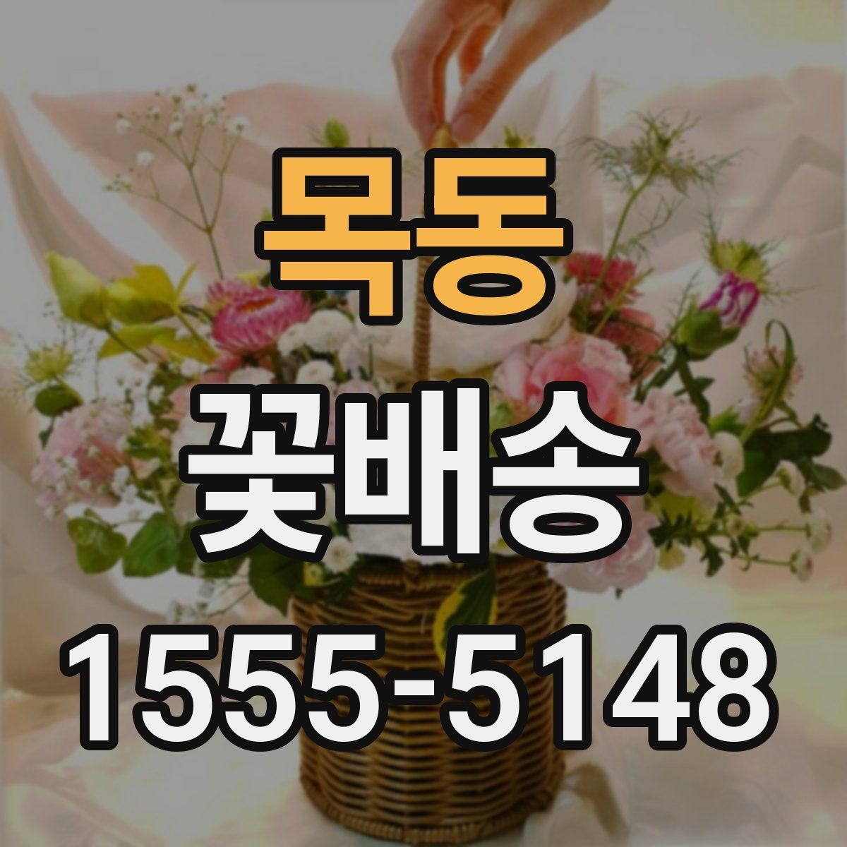 목동 꽃배송