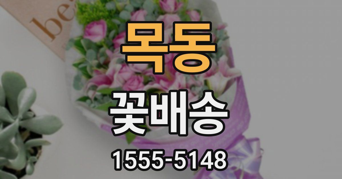 목동 꽃배송