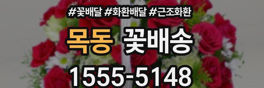 목동 꽃배송