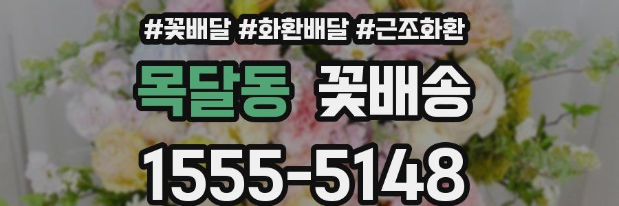 목달동 꽃배송