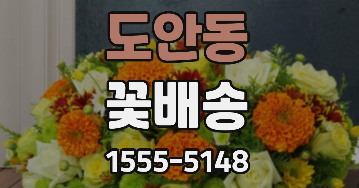 도안동 꽃배송