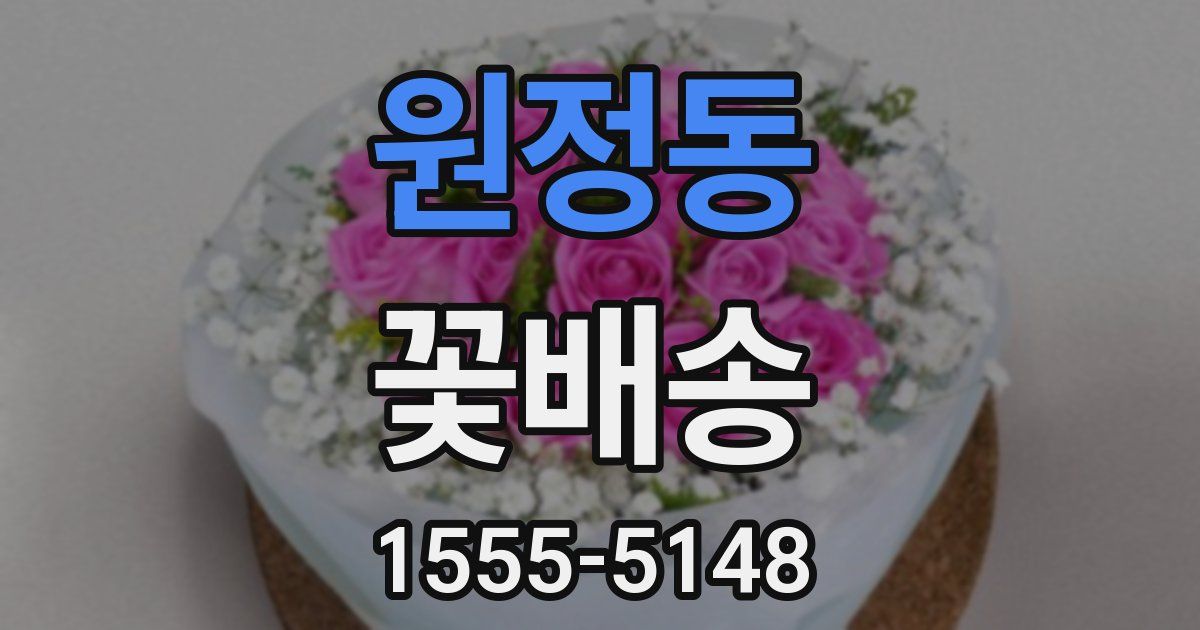 원정동 꽃배송