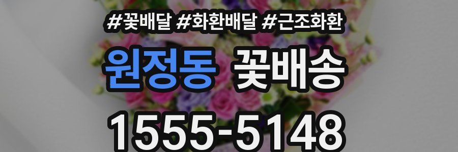 원정동 꽃배송