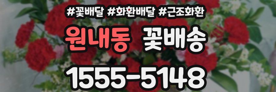 원내동 꽃배송