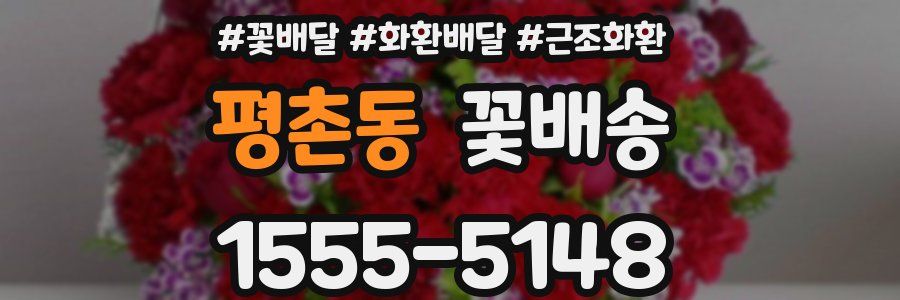 평촌동 꽃배송