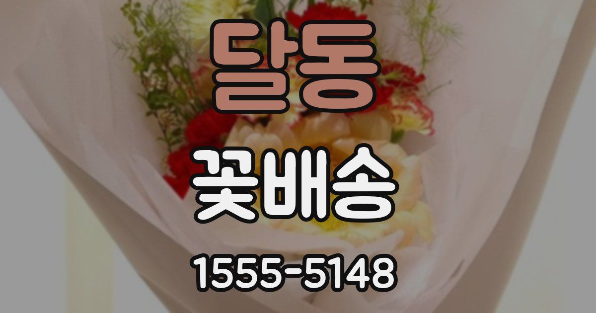 달동 꽃배송
