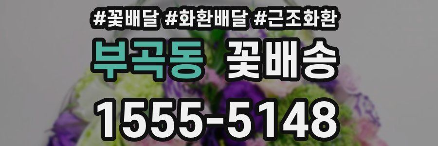 부곡동 꽃배송