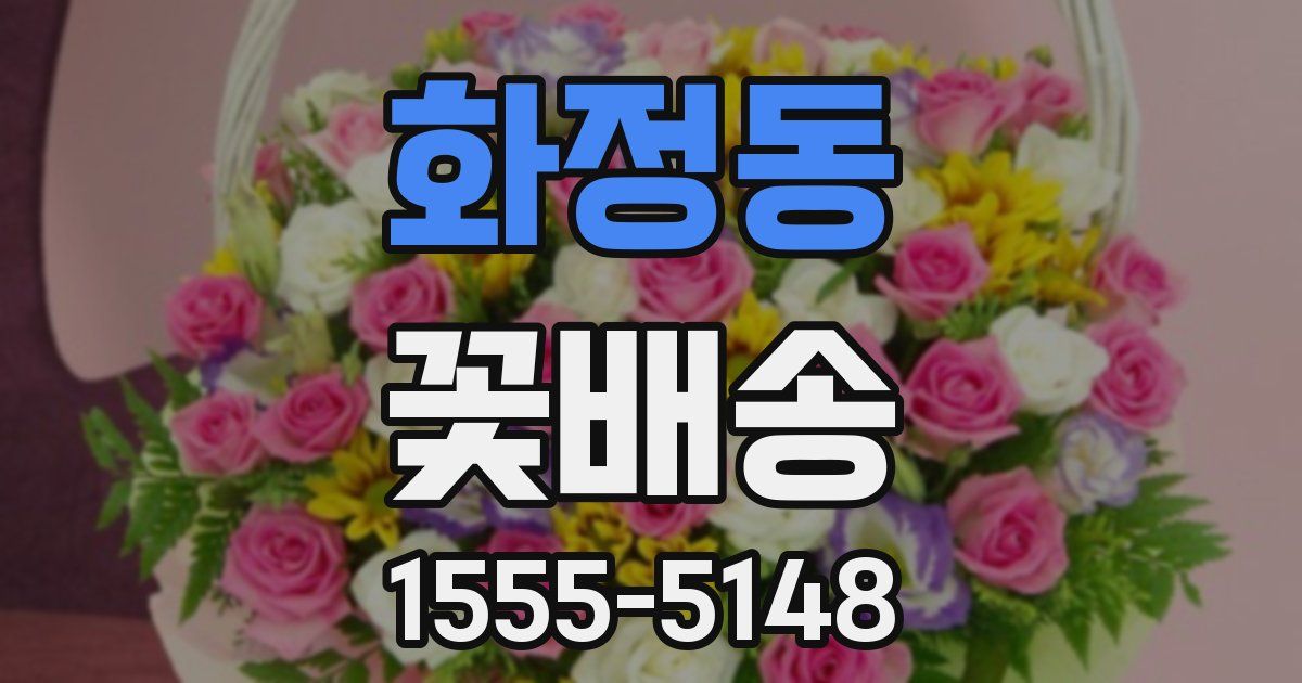 화정동 꽃배송