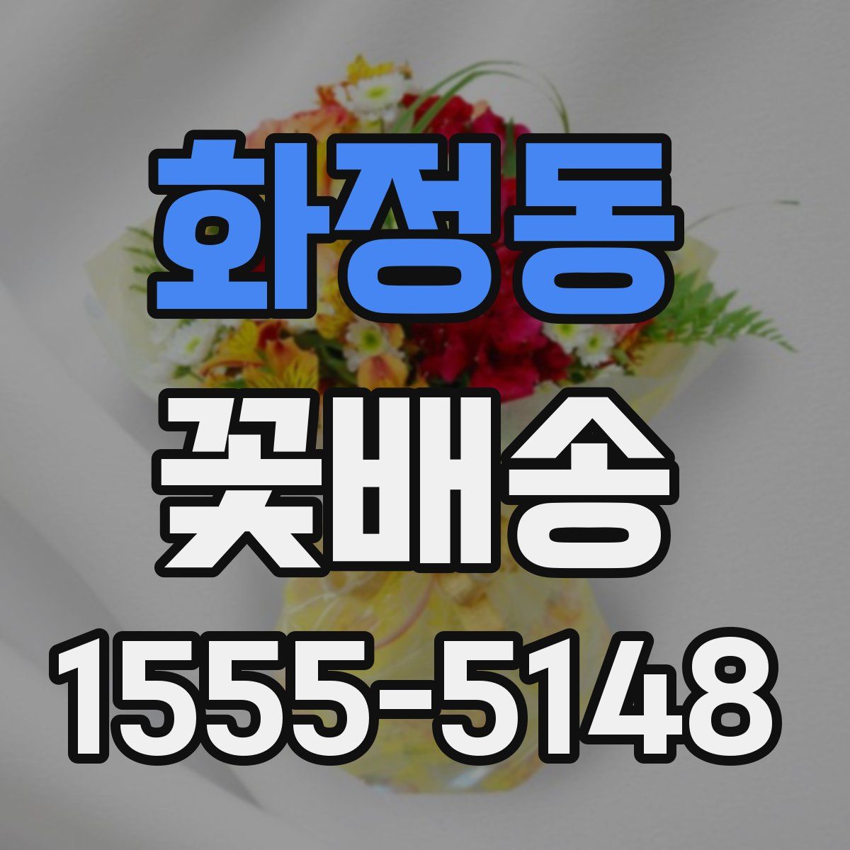 화정동 꽃배송