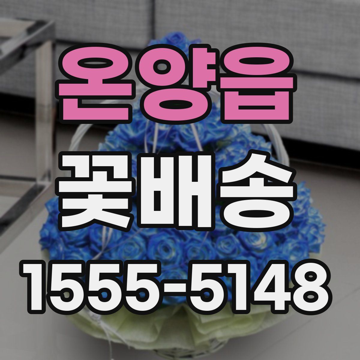 온양읍 꽃배송