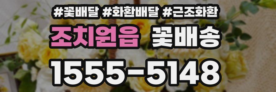 조치원읍 꽃배송