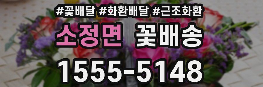 소정면 꽃배송