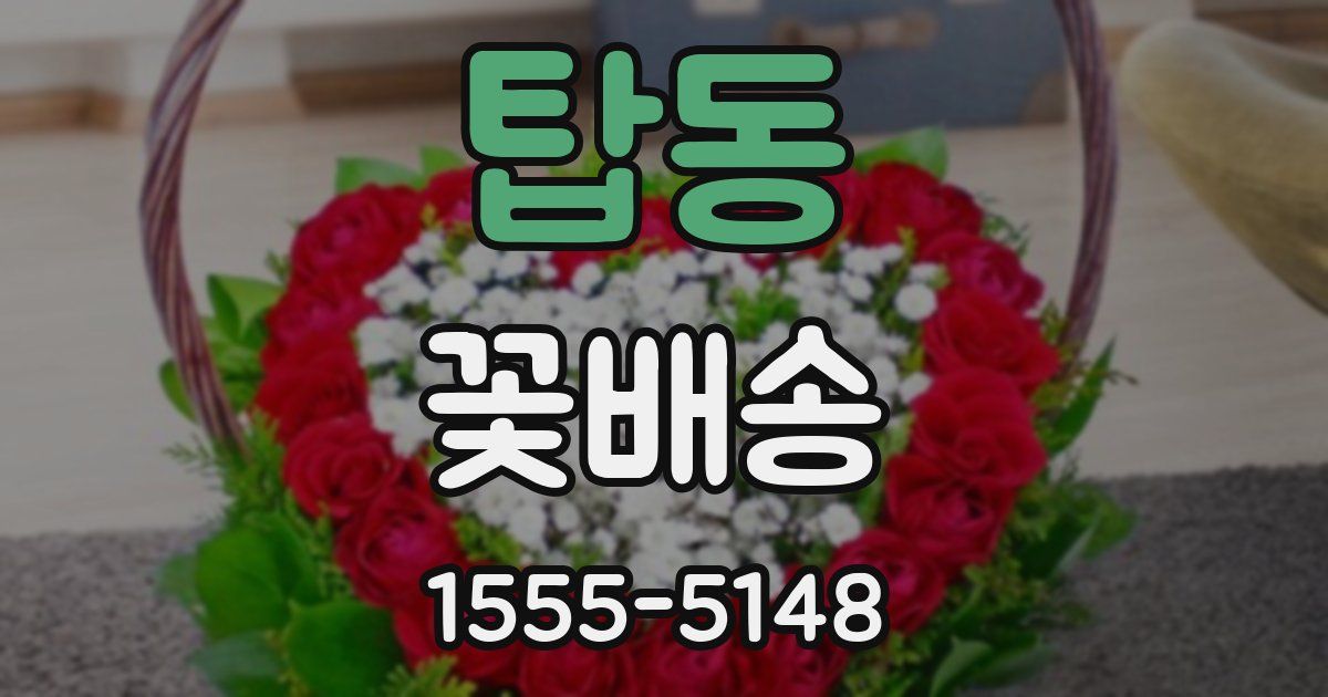 탑동 꽃배송