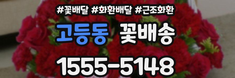 고등동 꽃배송