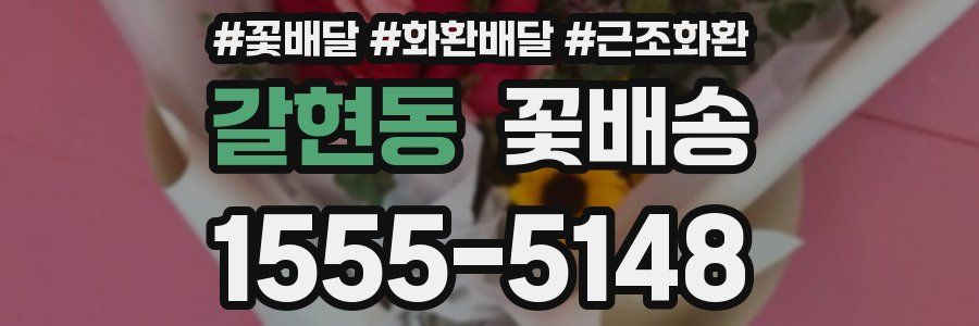 갈현동 꽃배송