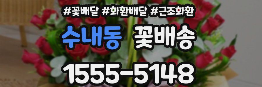수내동 꽃배송