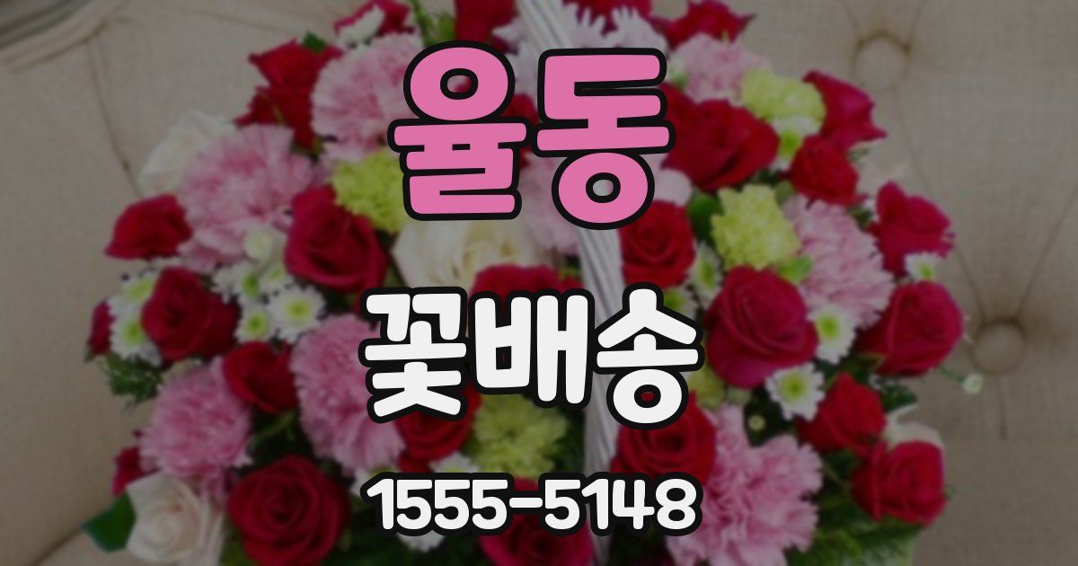 율동 꽃배송