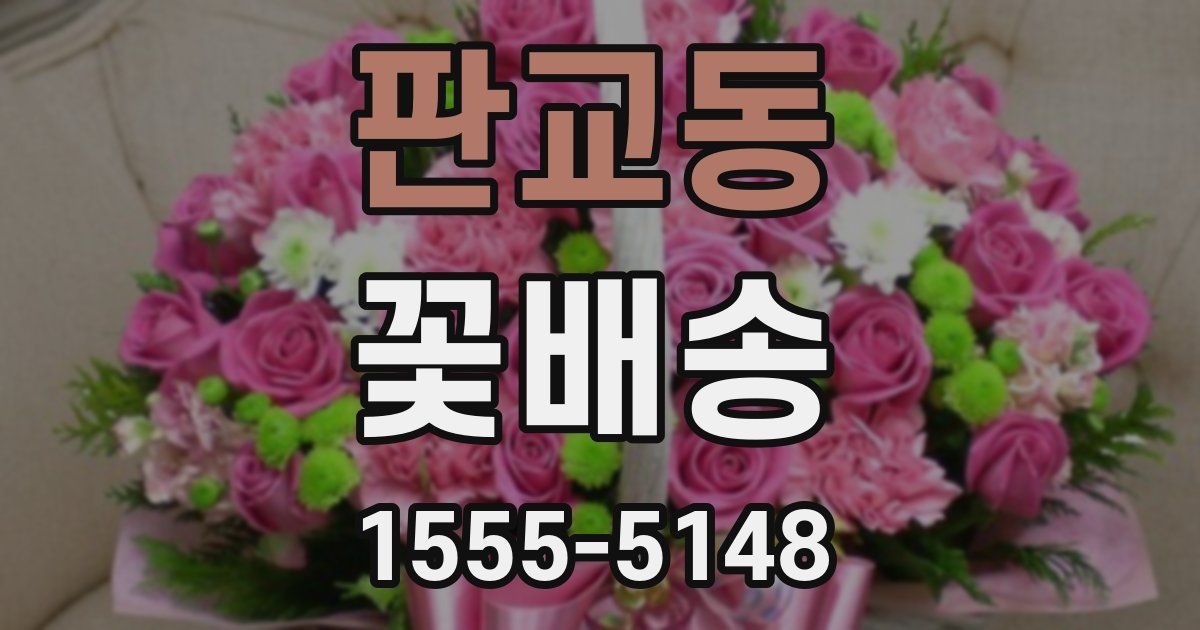 판교동 꽃배송